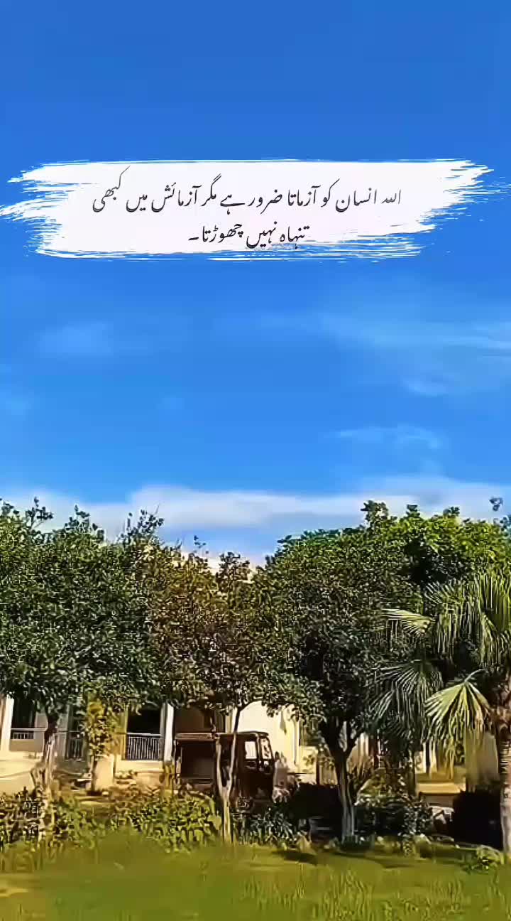 @BABA KODDA 👑✨
