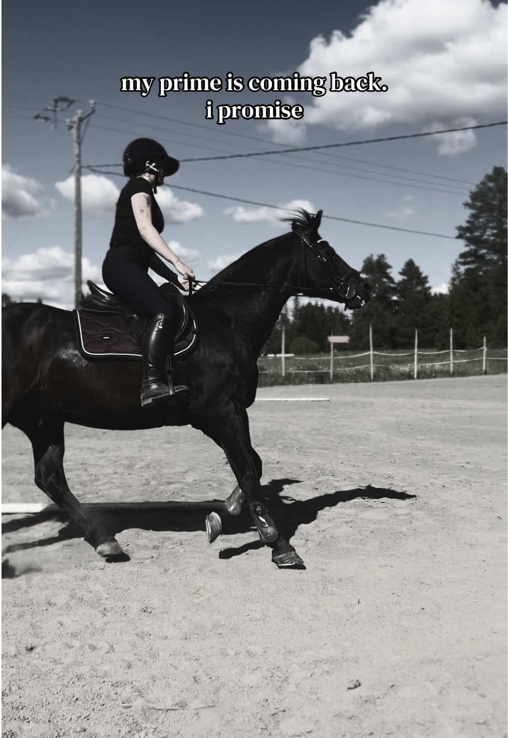 @krista || ig kayhkodressage