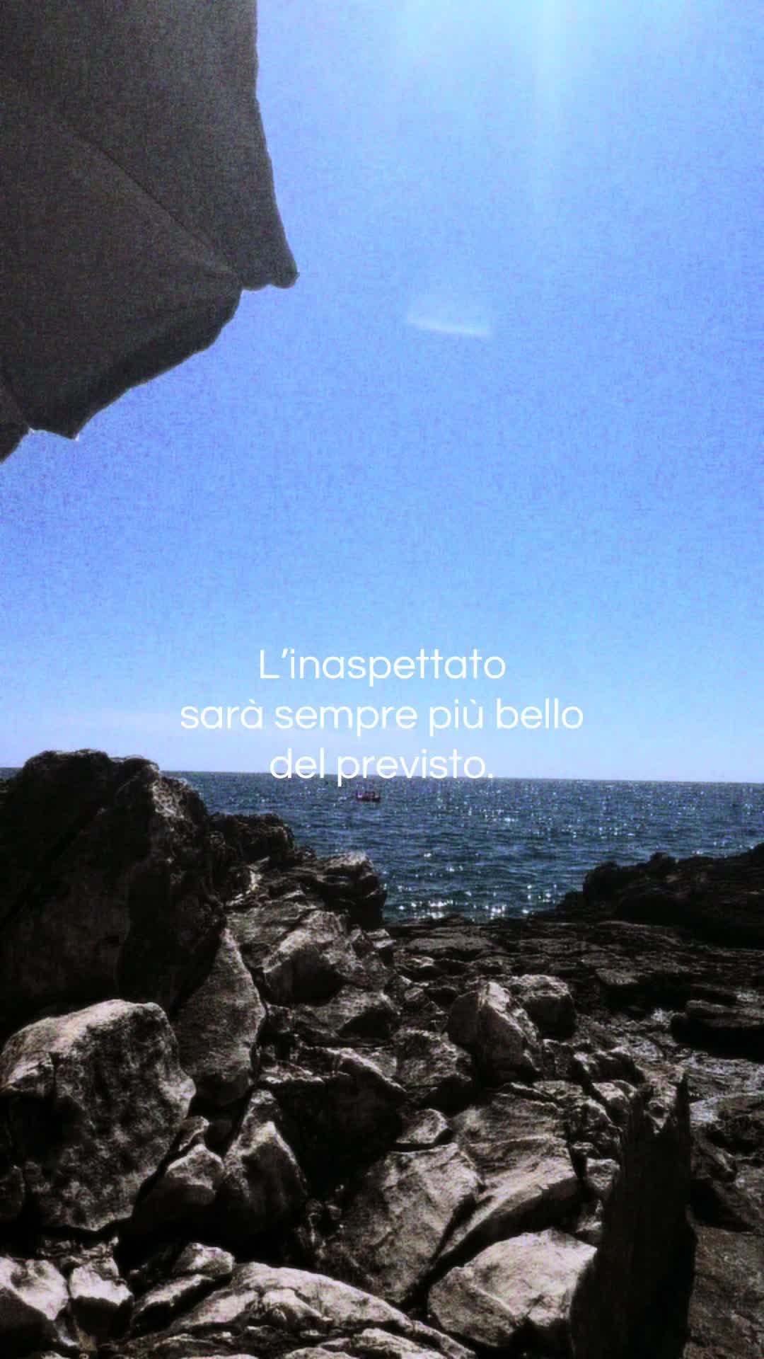 @francesca carrozza