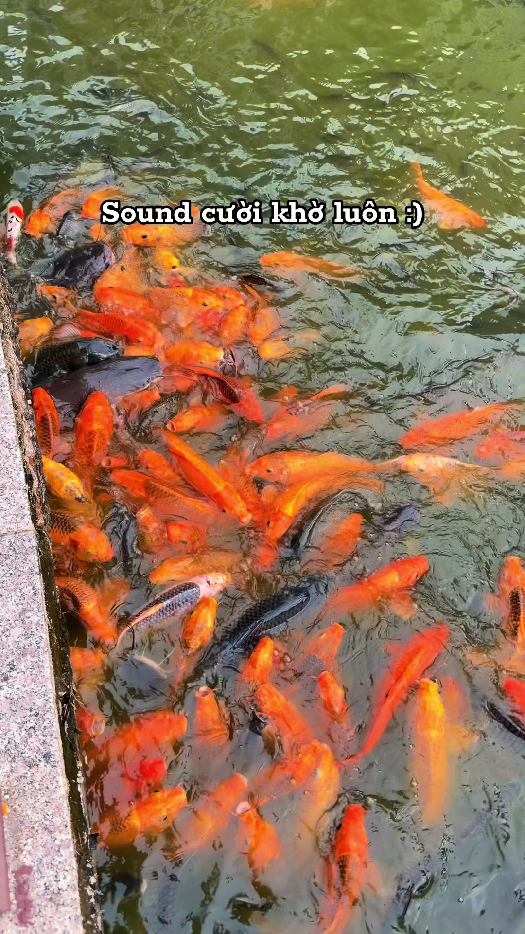 @Q - Cà Phê Phin ft. AirBnB