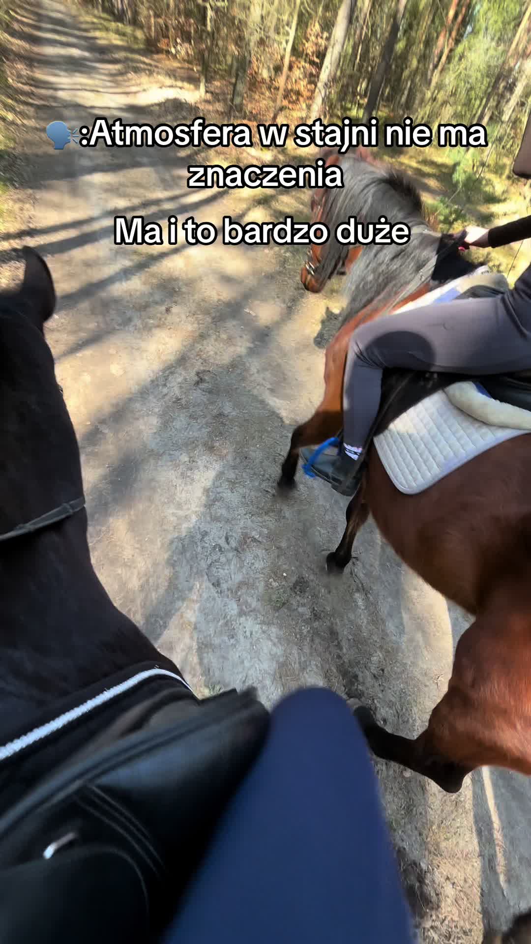 @🐴💗TA OD BELLI I ARY💗🐴