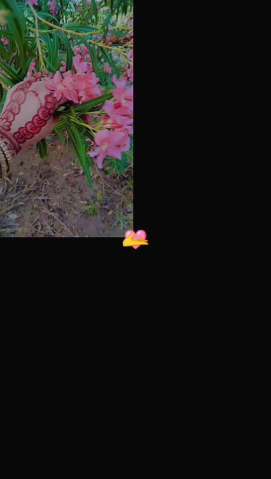 @sana kanwal ♥๏ธ