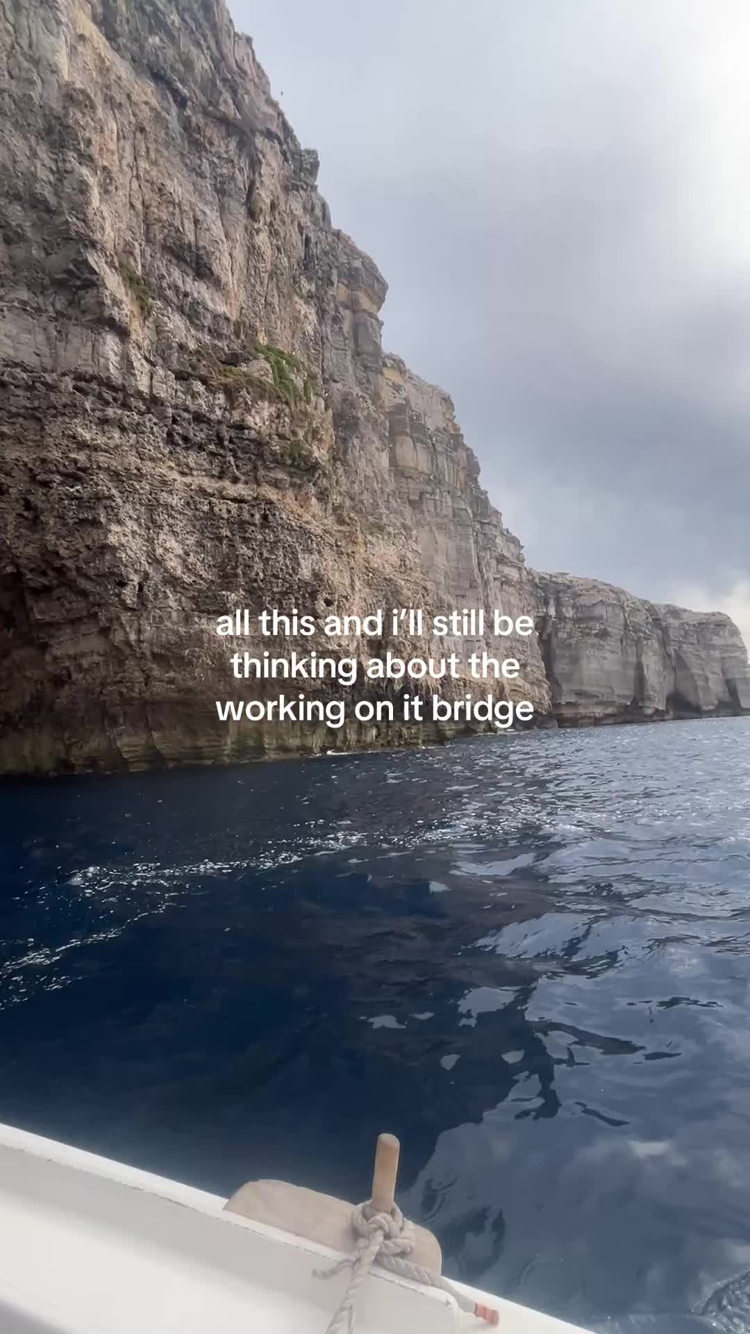 @🦢