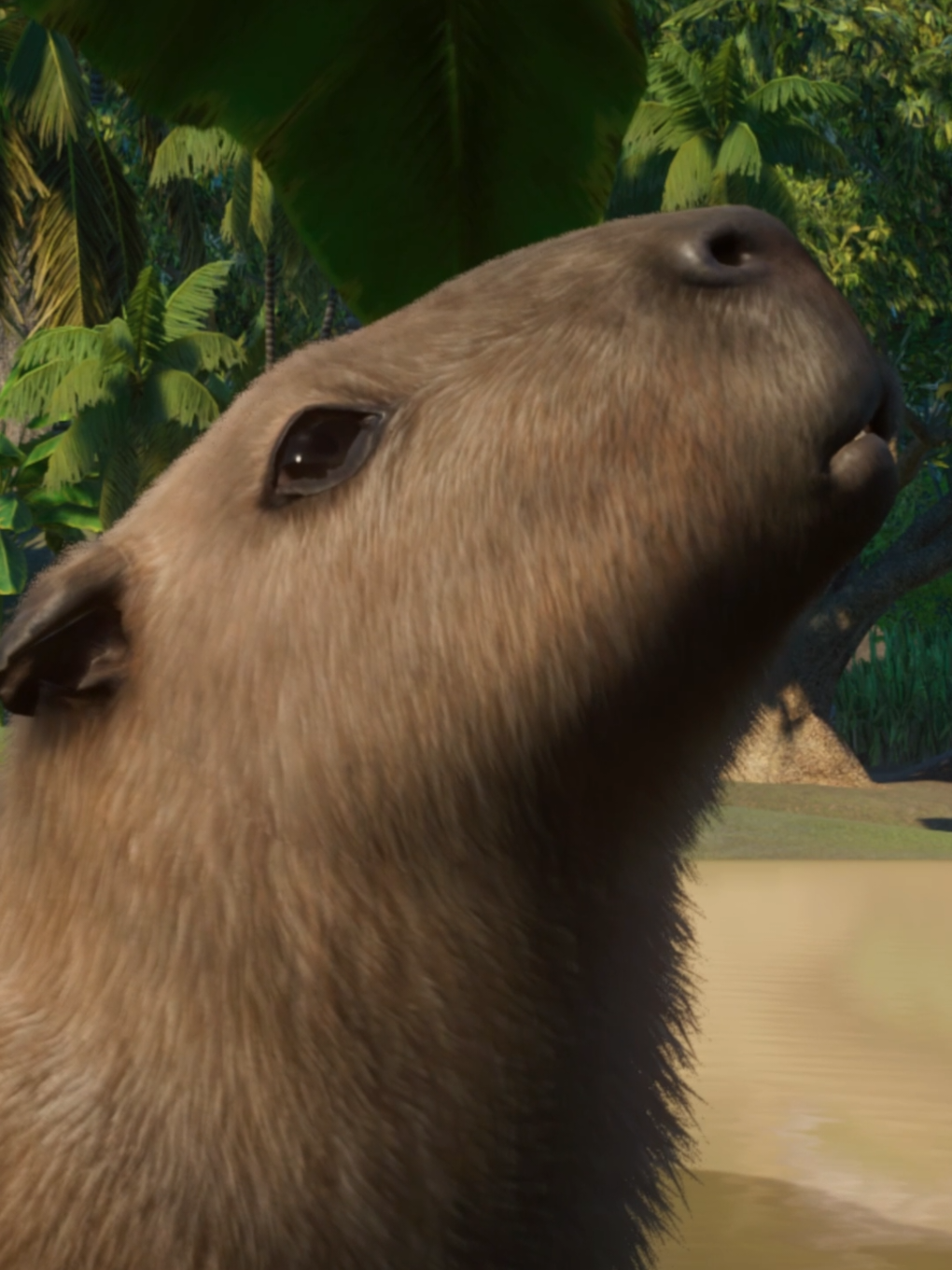 @PlanetGamesOfficial