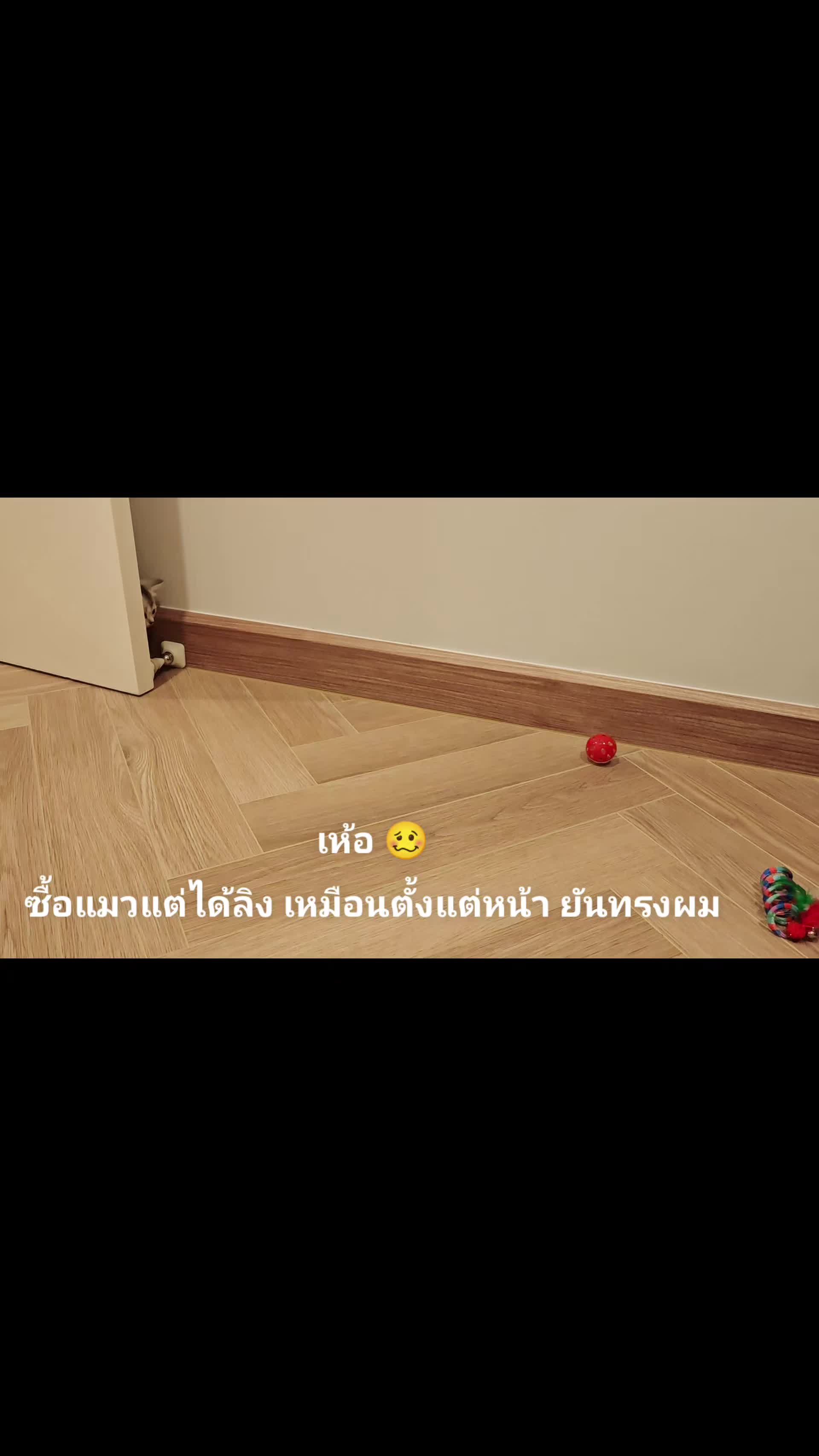@issariya2521