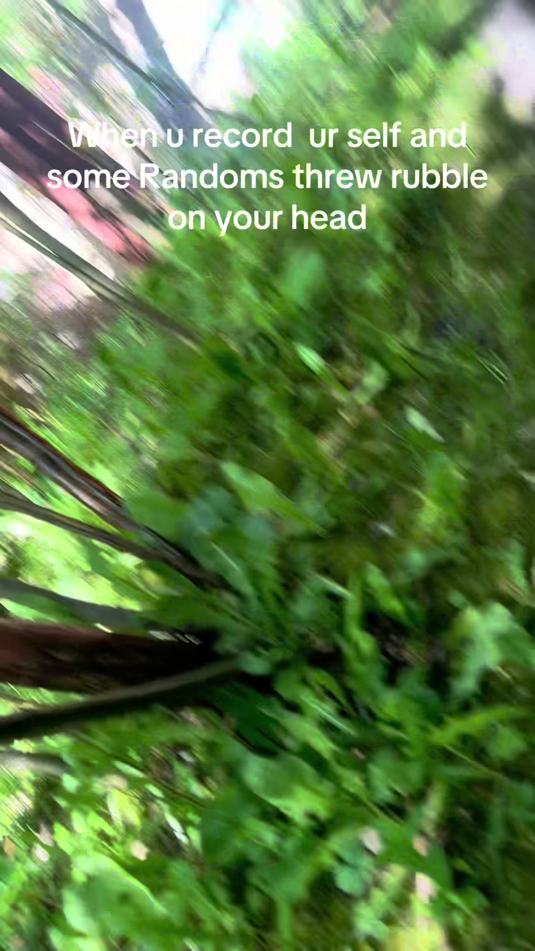 @Zen