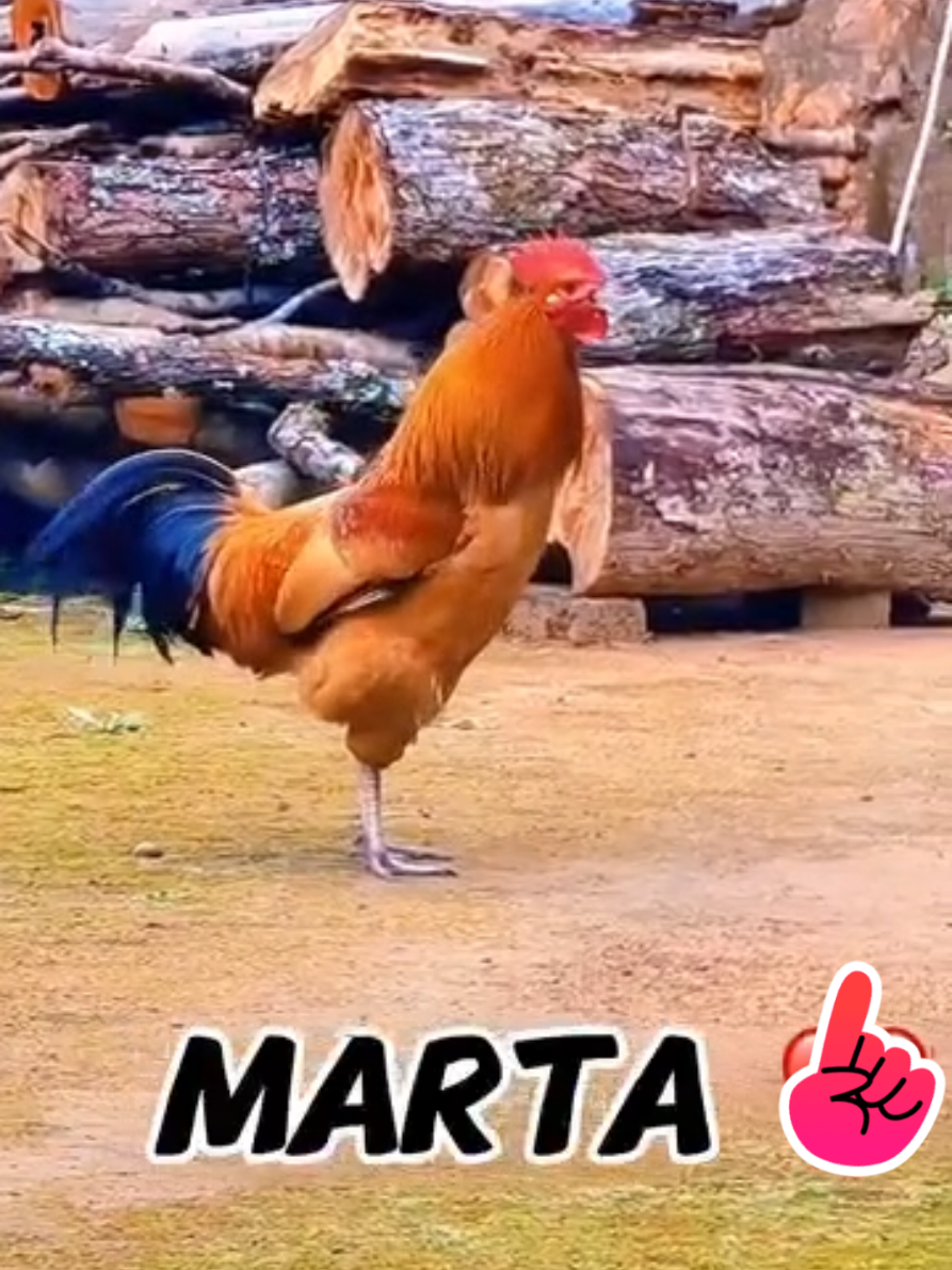 @Martha reina benitez