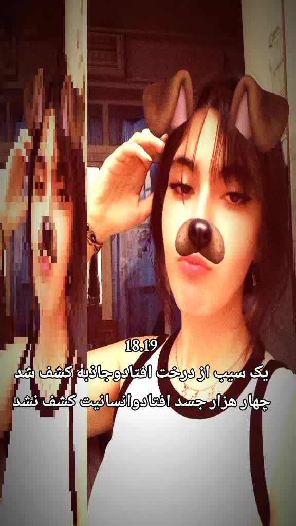 @mahi