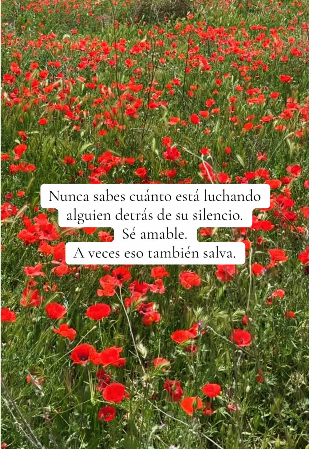 @Míguel