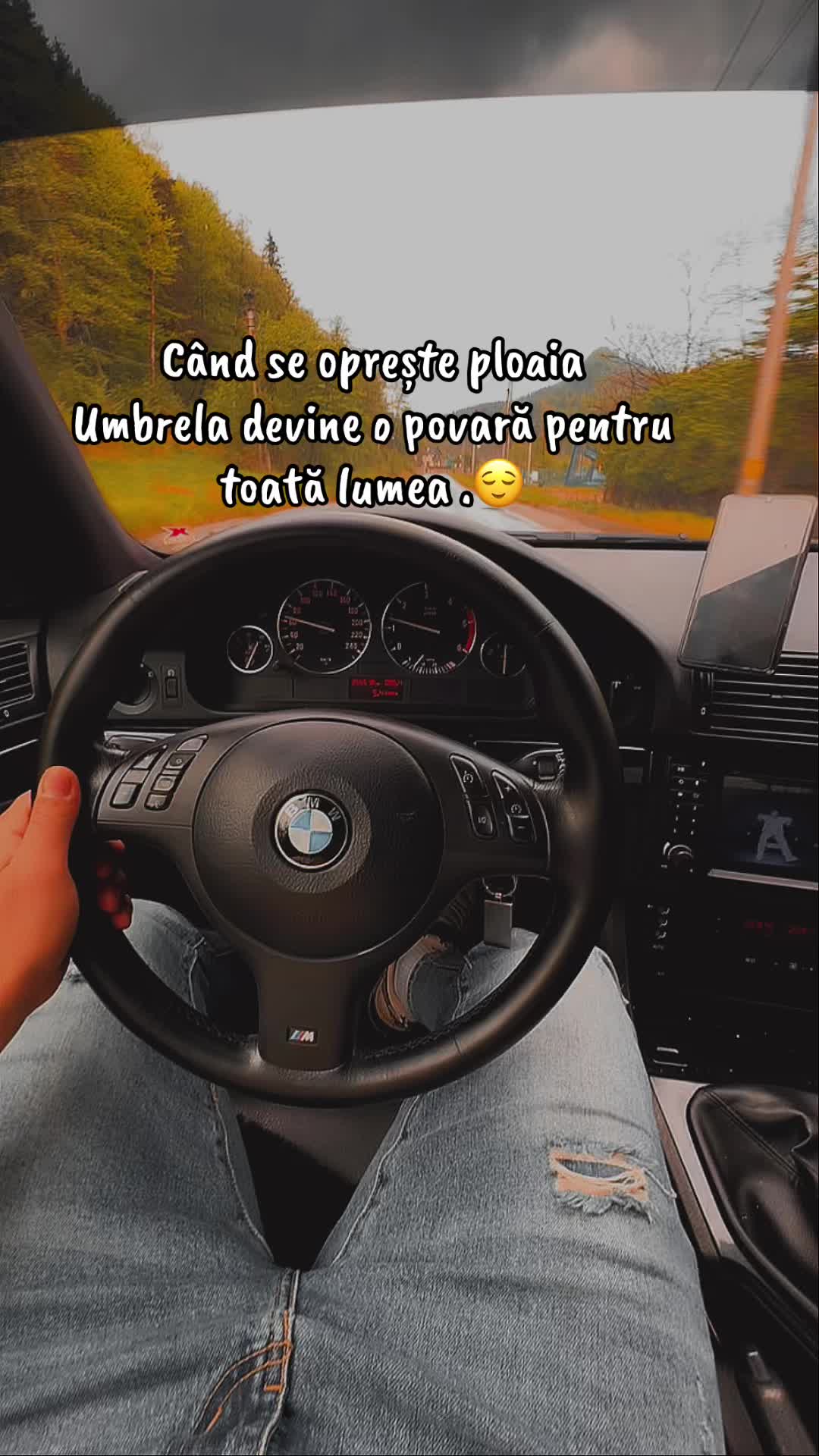 @ionut-pik-E39