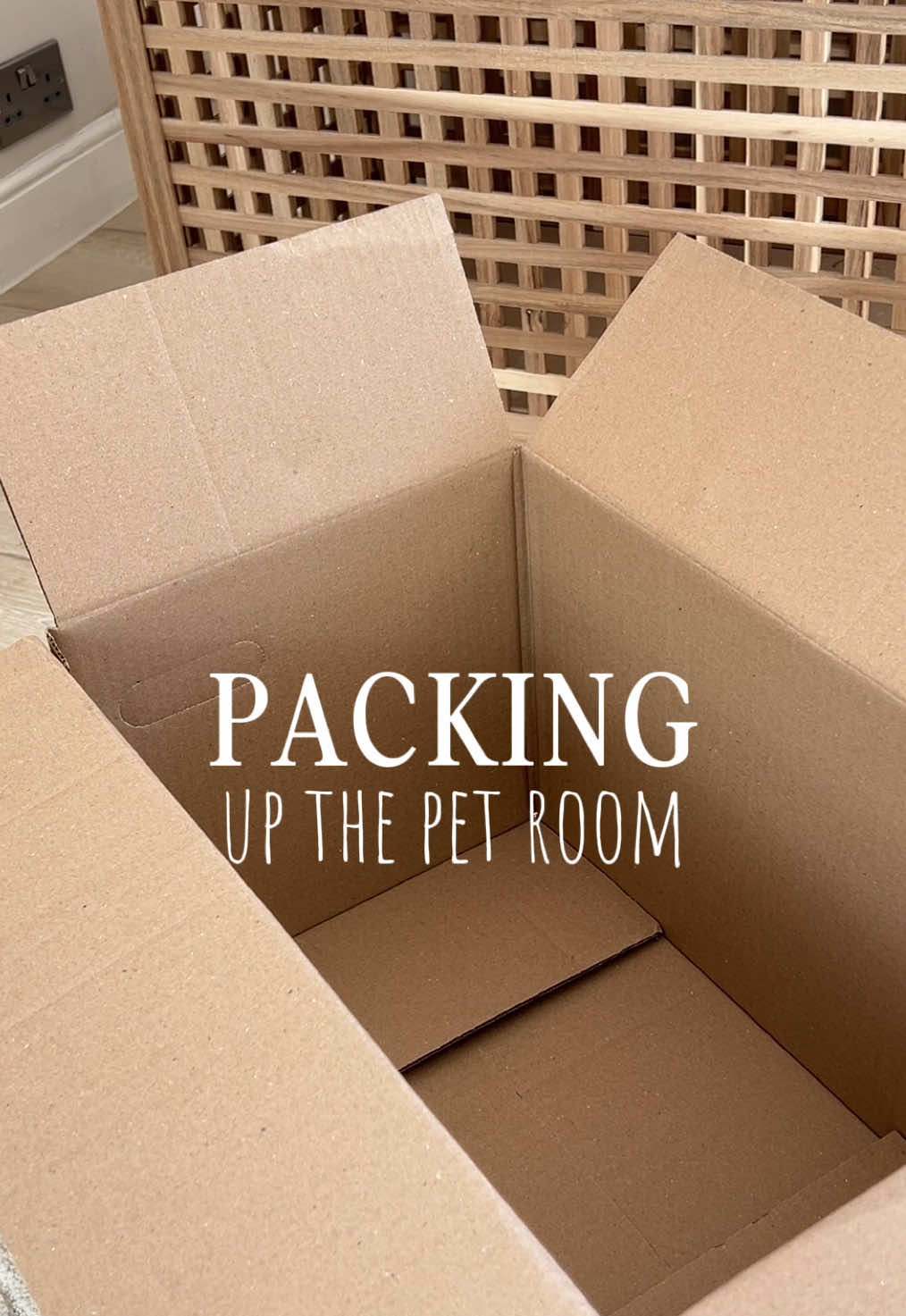 @Petswcourt