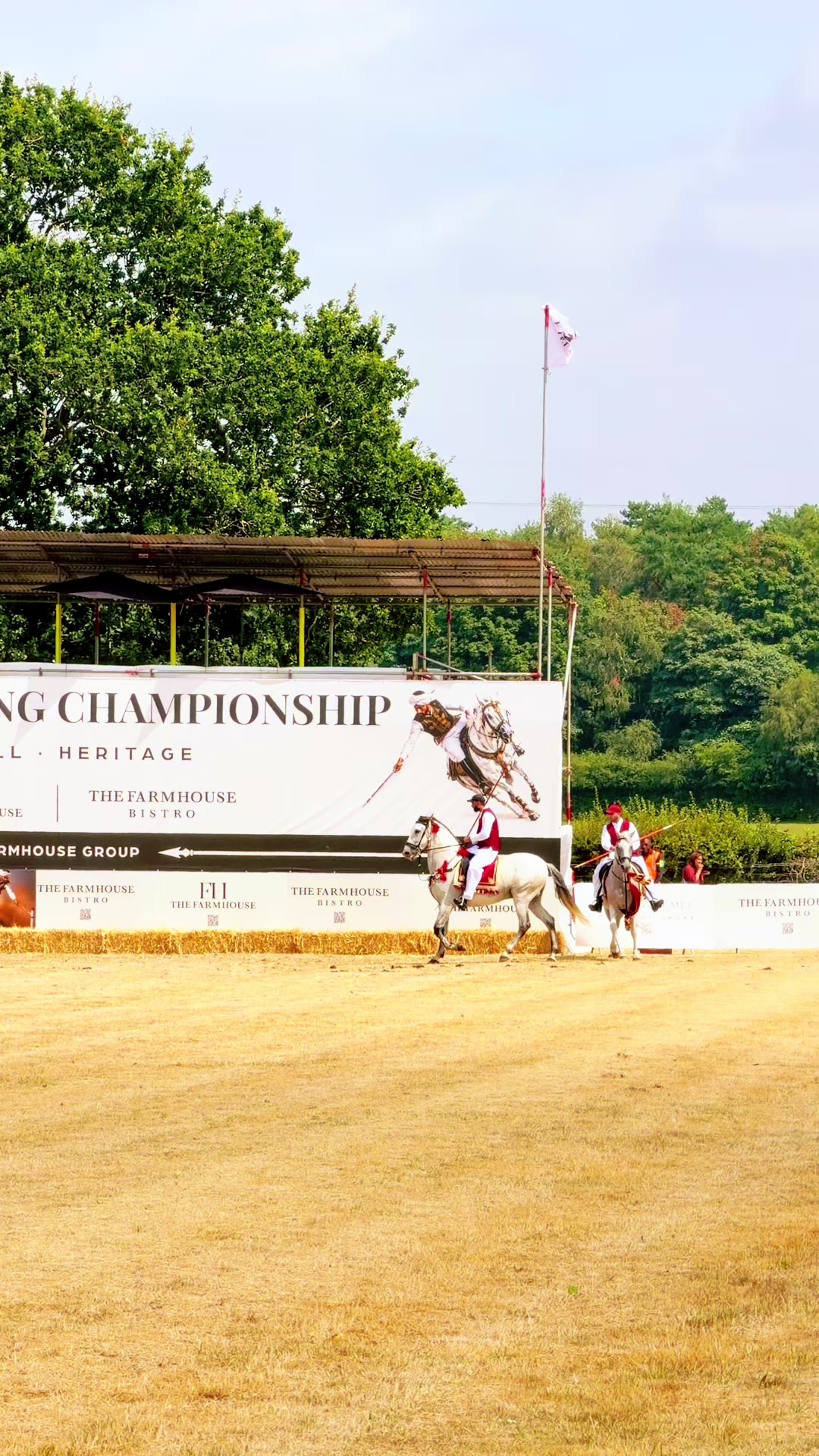 @Slough horses