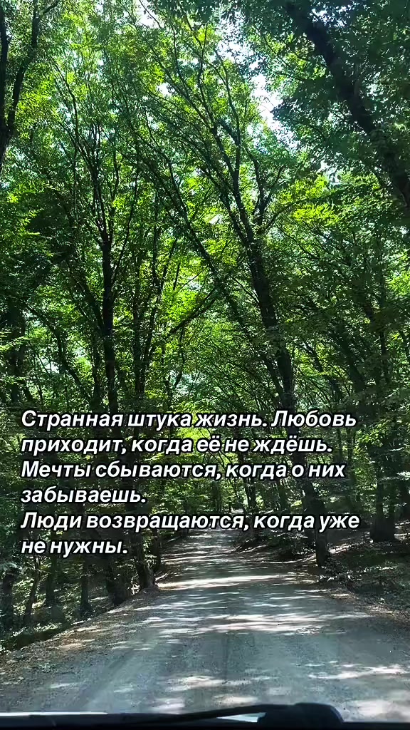 @🩵 𝐓𝐈𝐅𝐅𝐀𝐍𝐘 🩵