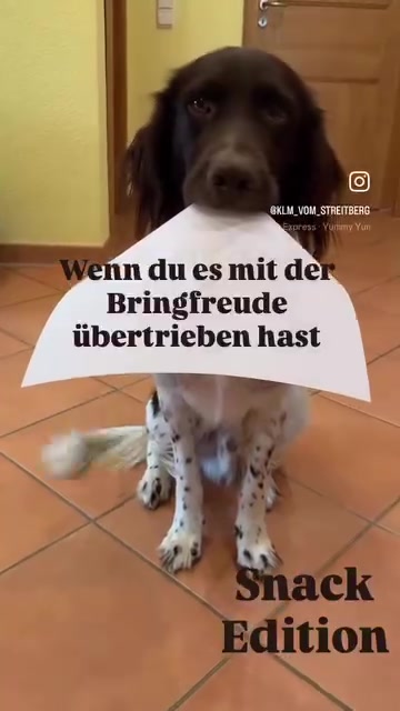 @SALiNGO