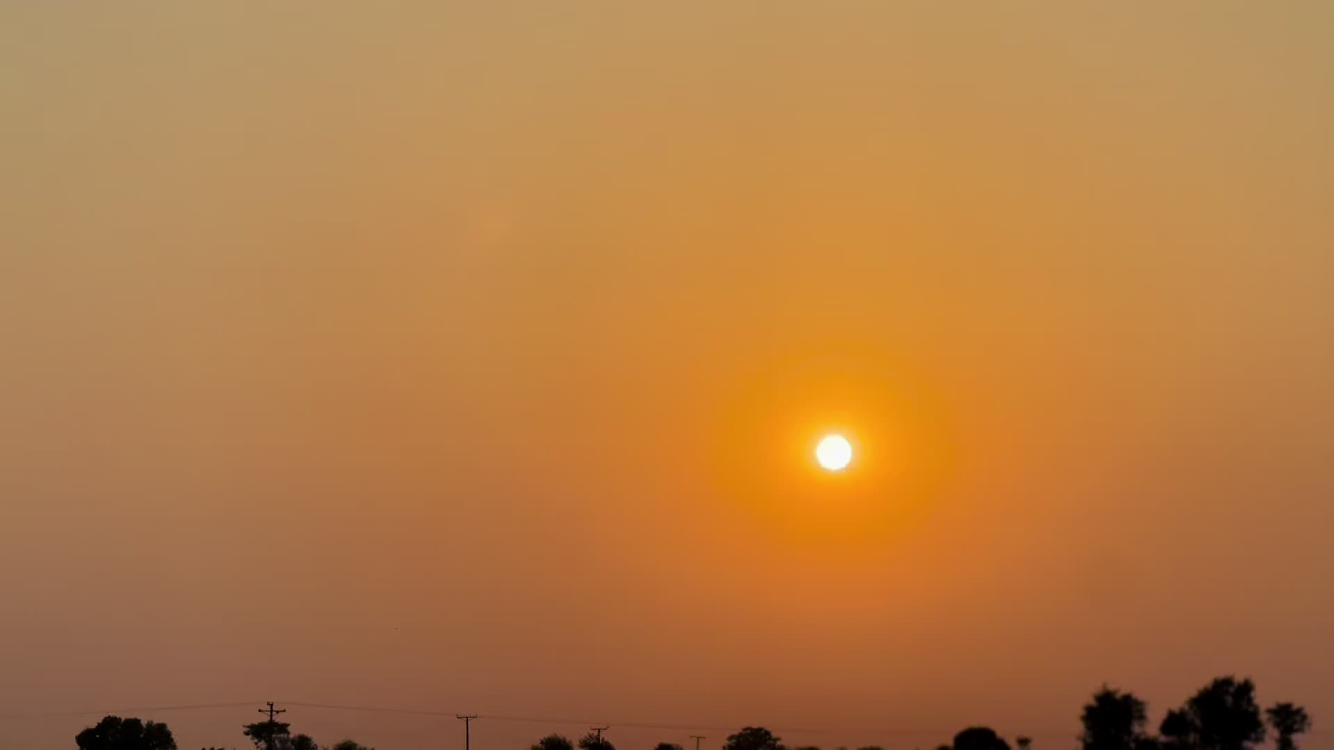 @پینڈو بوائز 378