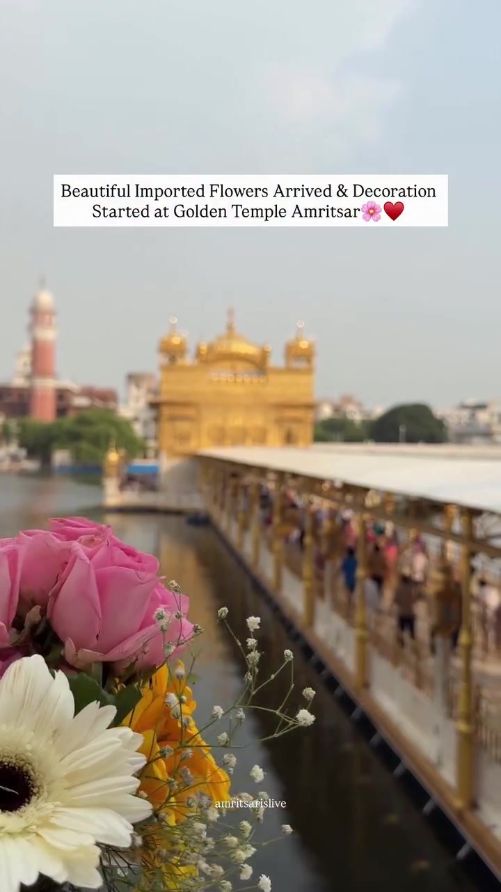 @Yeh Kali Kali ankhe 👀