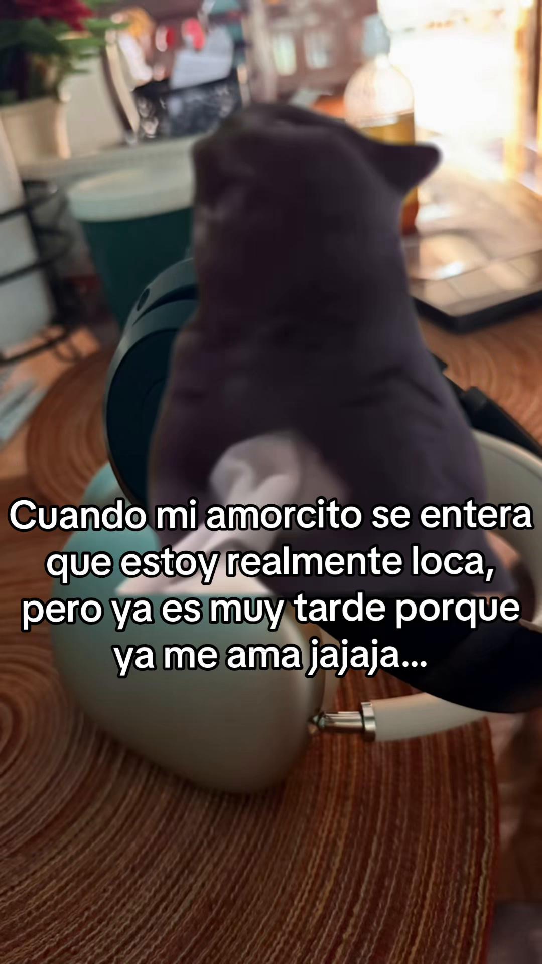 @Roxy Perez