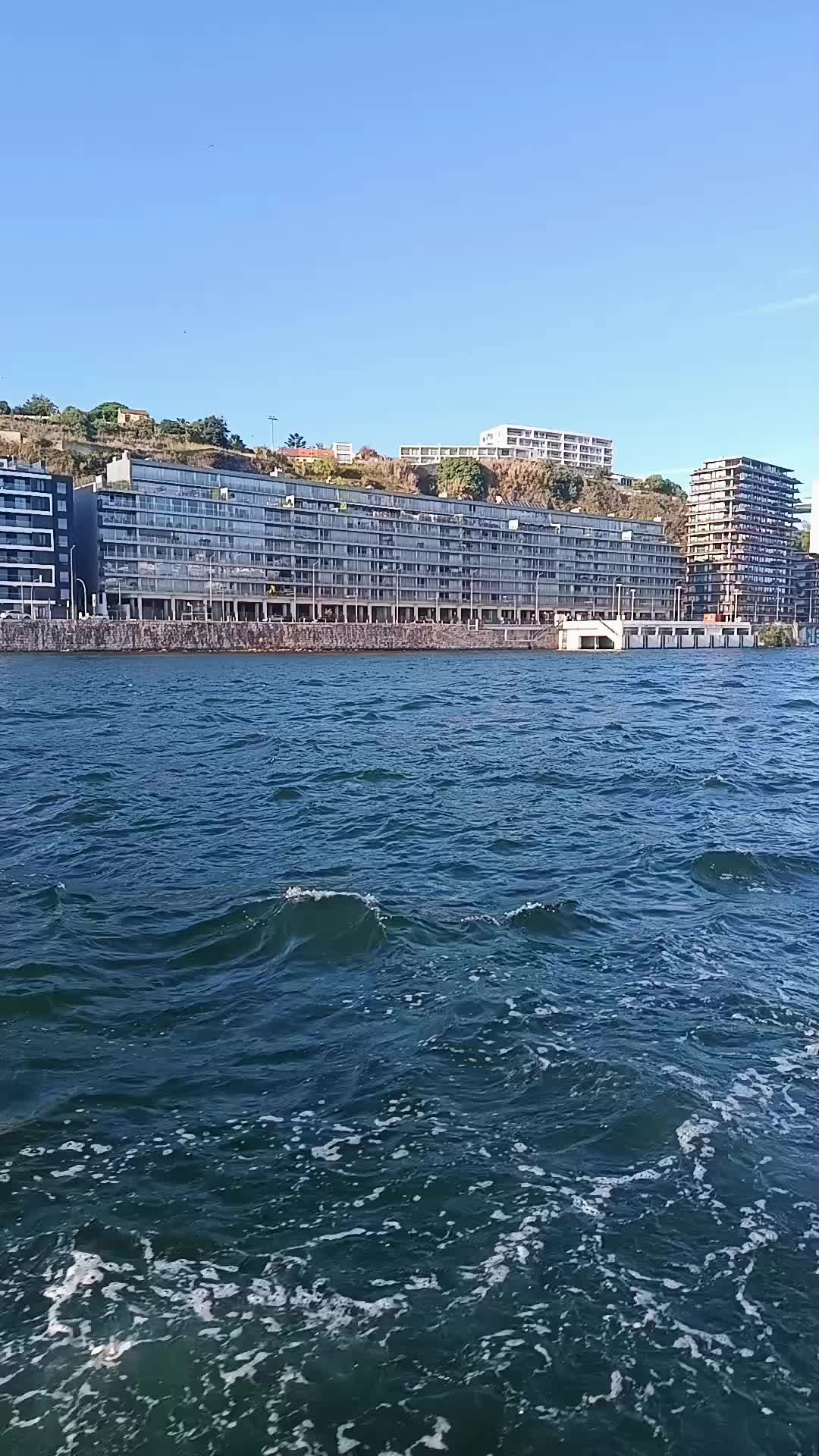 @porto ribeira