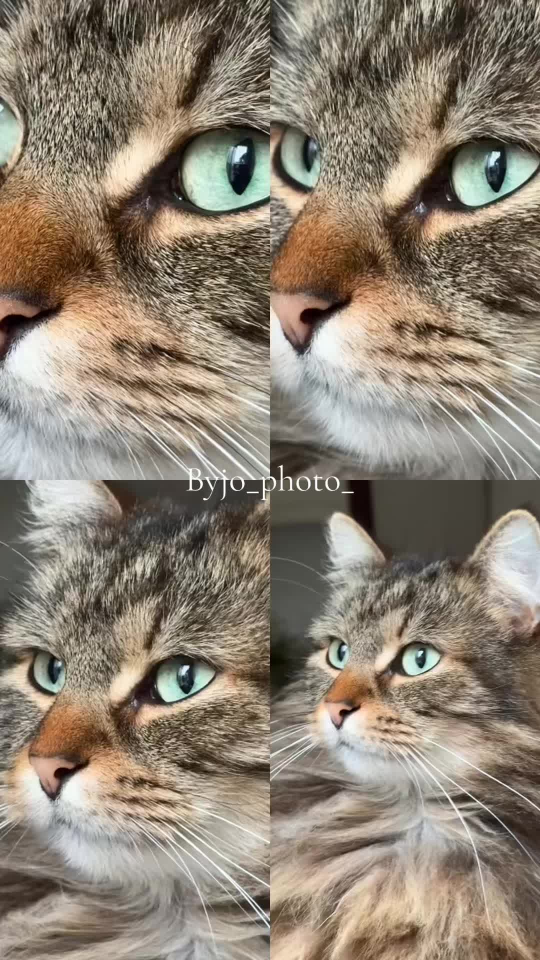 @byjo_photo_