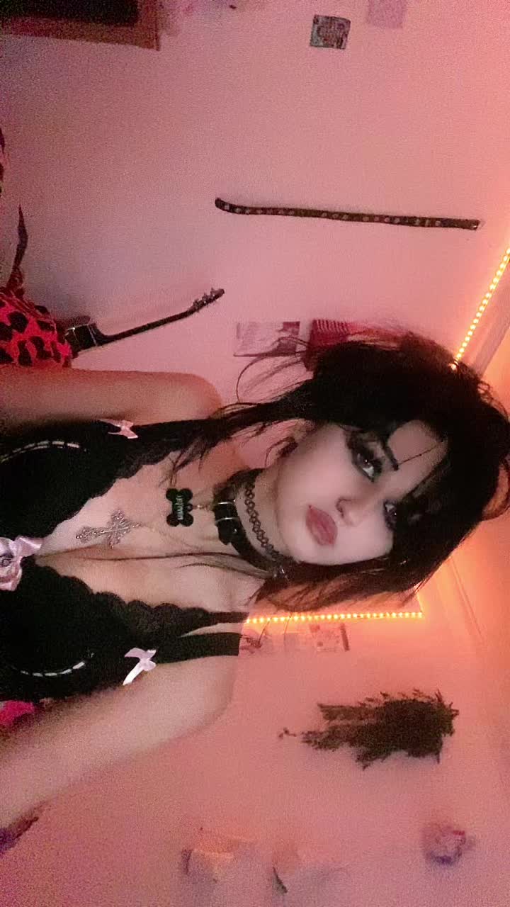 @r4venbarkz