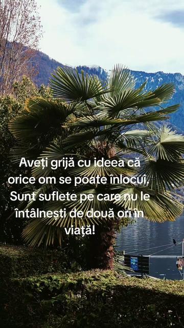 @Gabriela