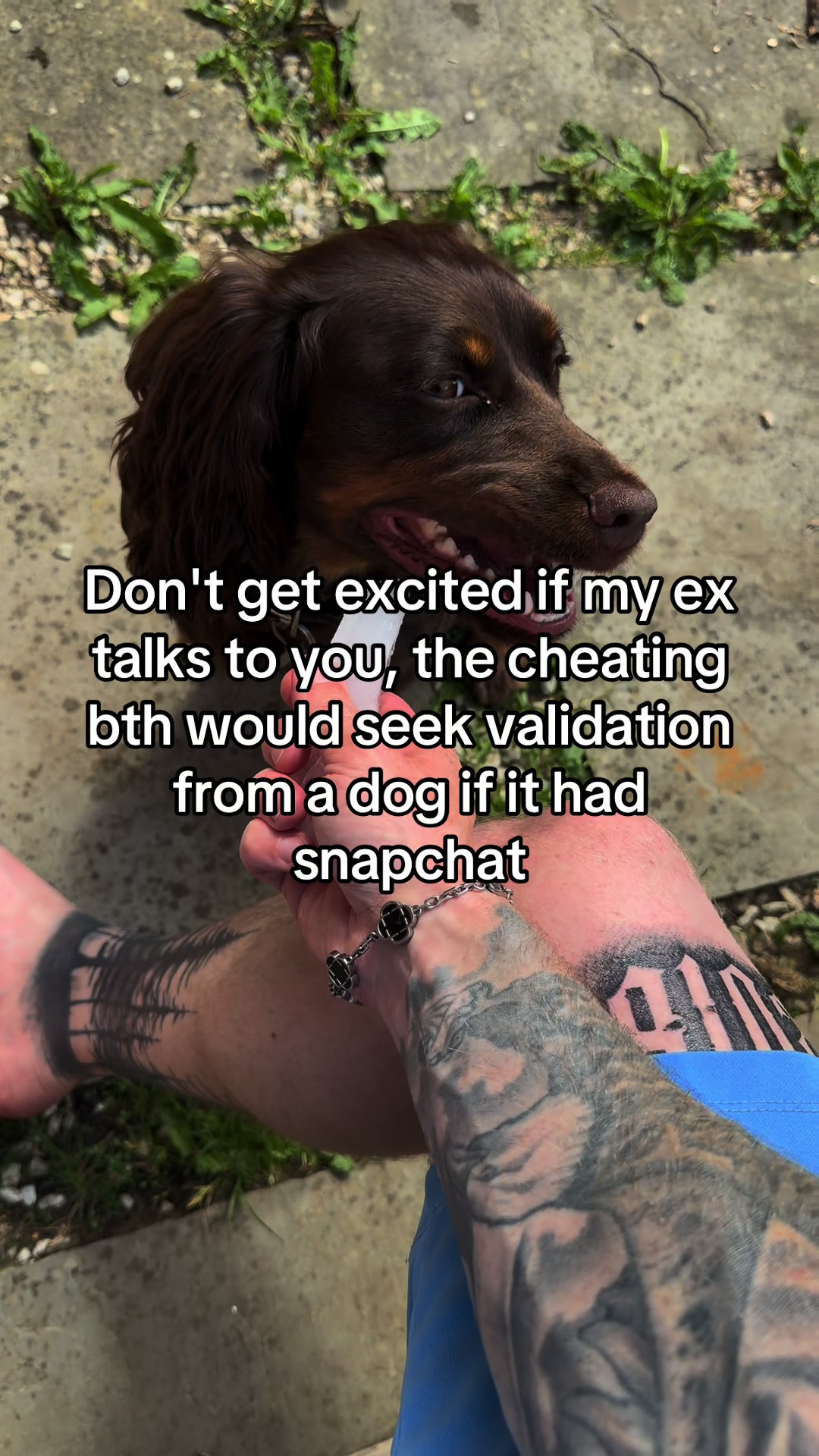 @Yellow 🐍