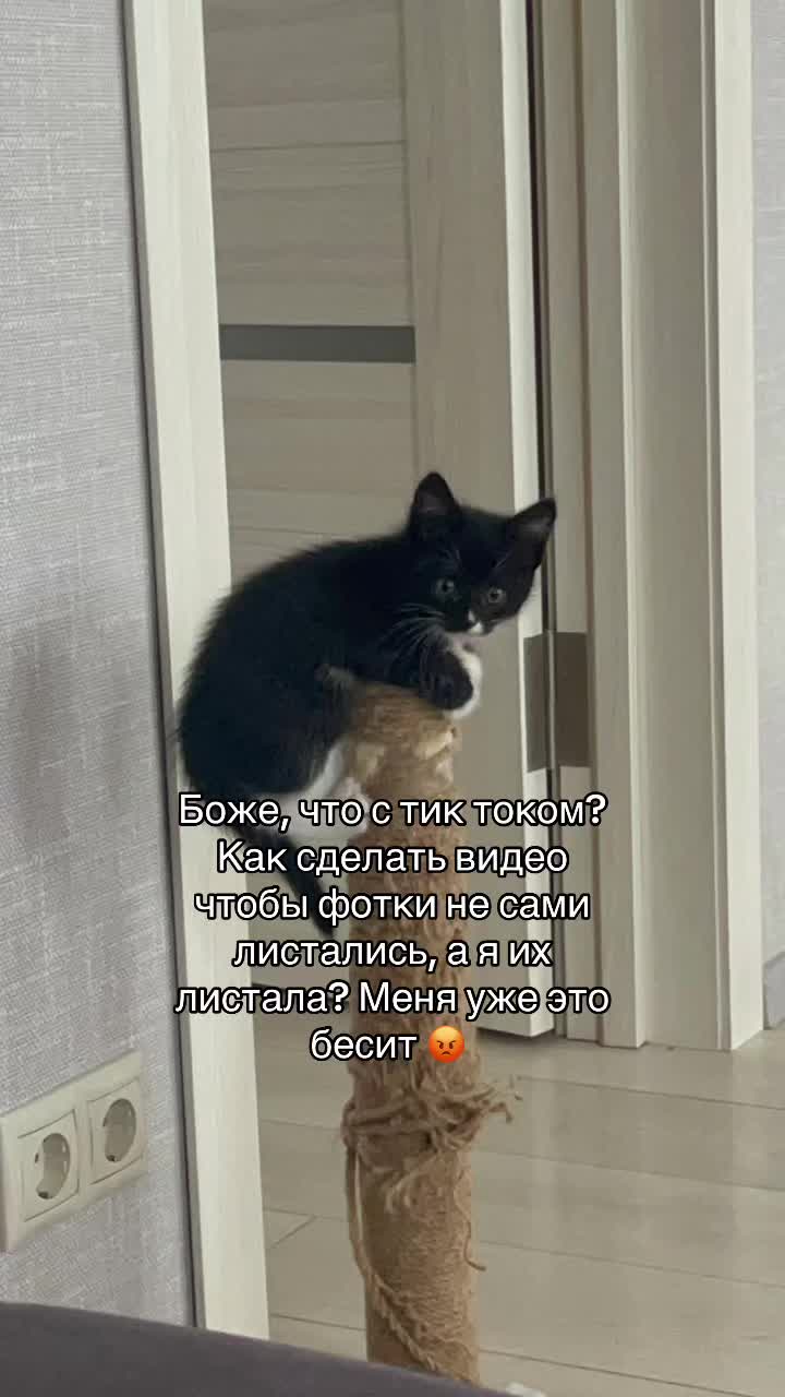 @Елизаветка