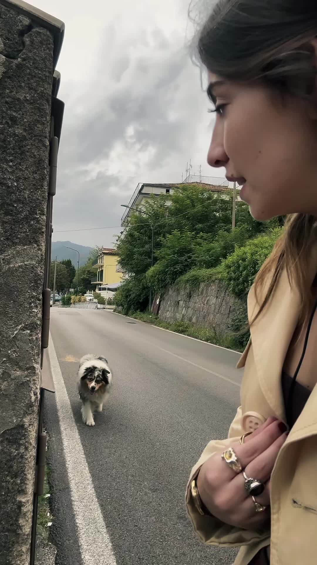 @dolceveneredirimmel_