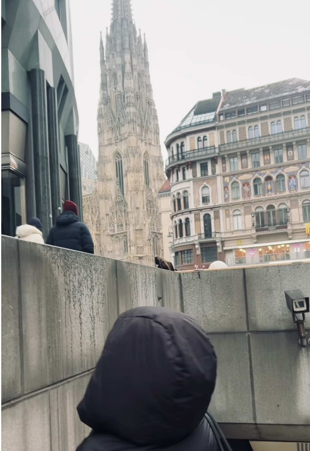 @𝓭𝓪𝓷𝓪𝓮