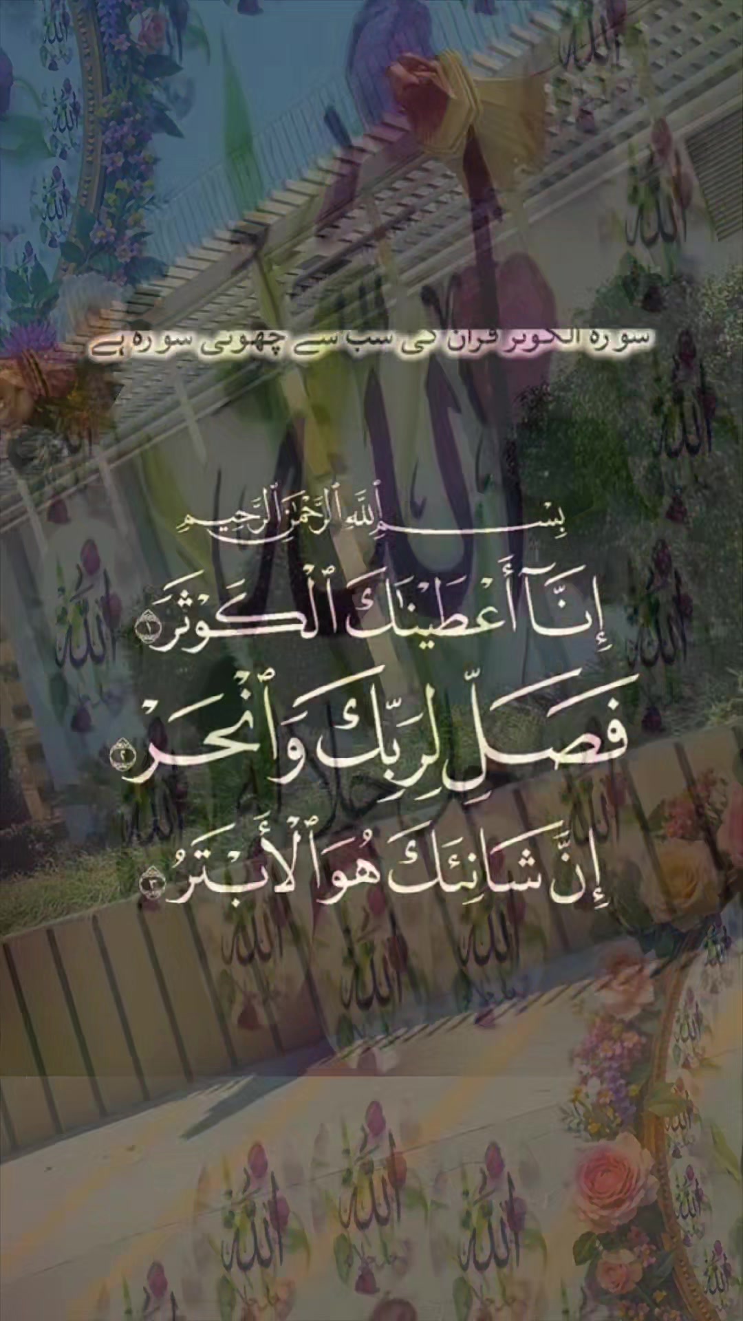 @amaan1949