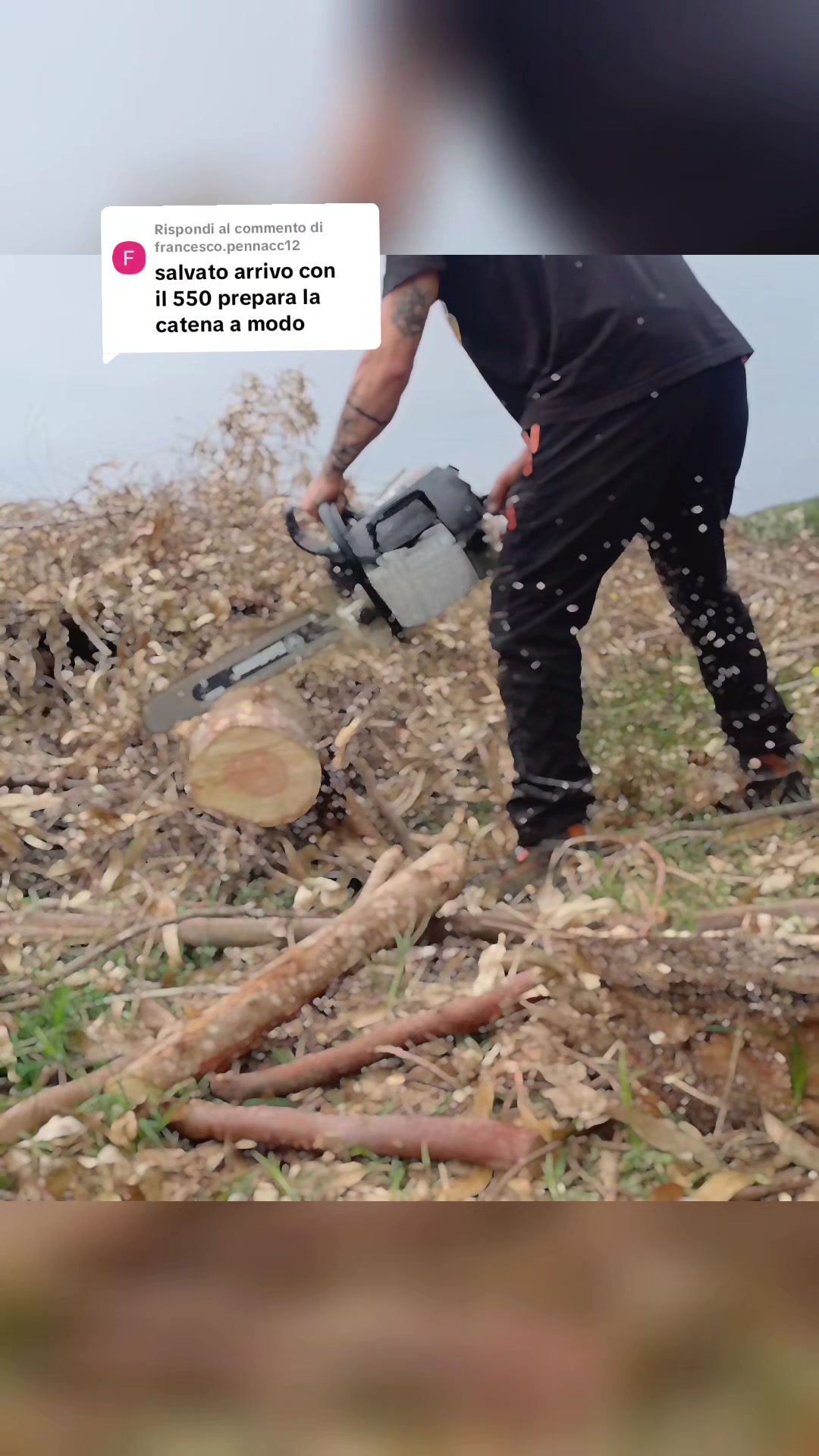 @salvatorepalaia_lumberjack