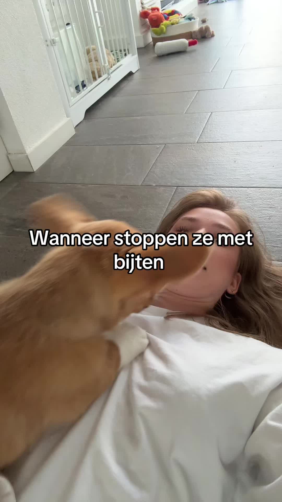 @belle21m23