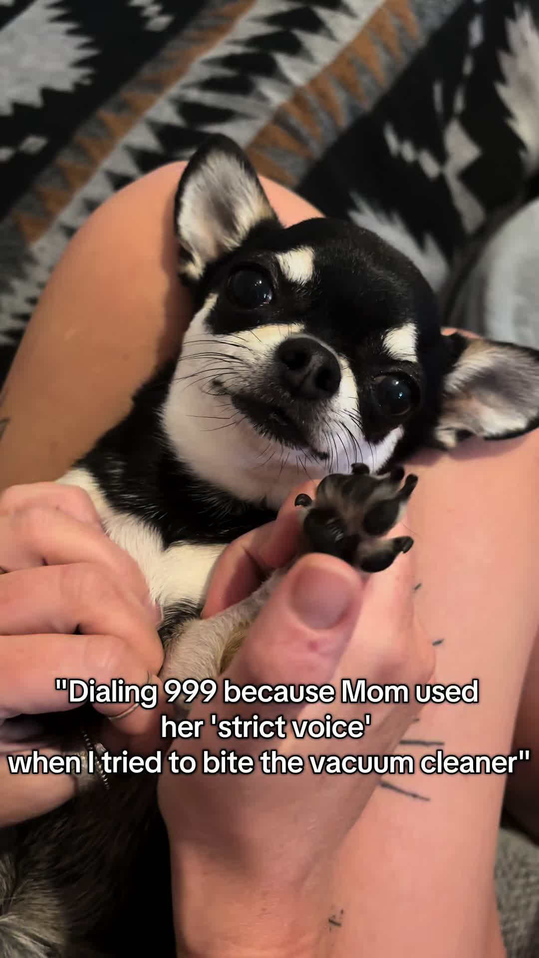 @Coco_bean🐾