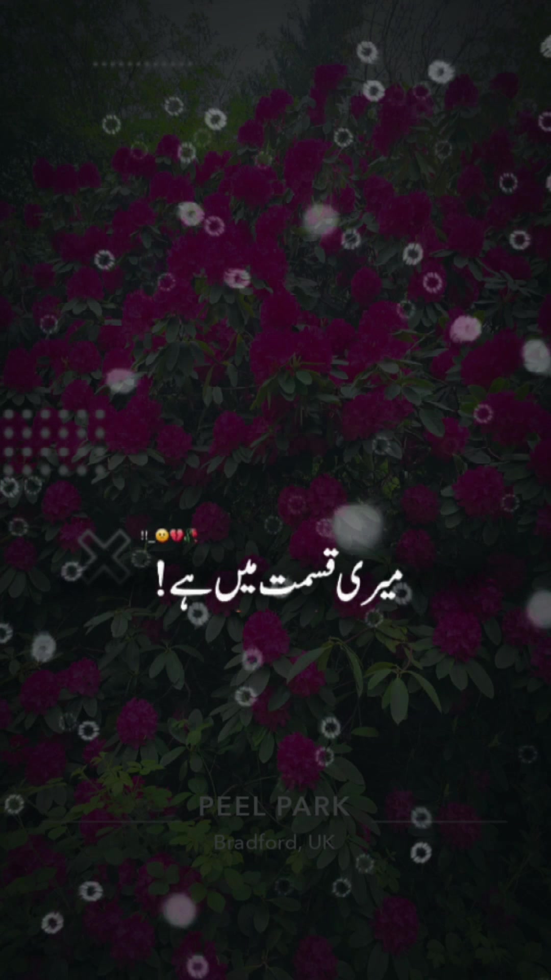 @S M
