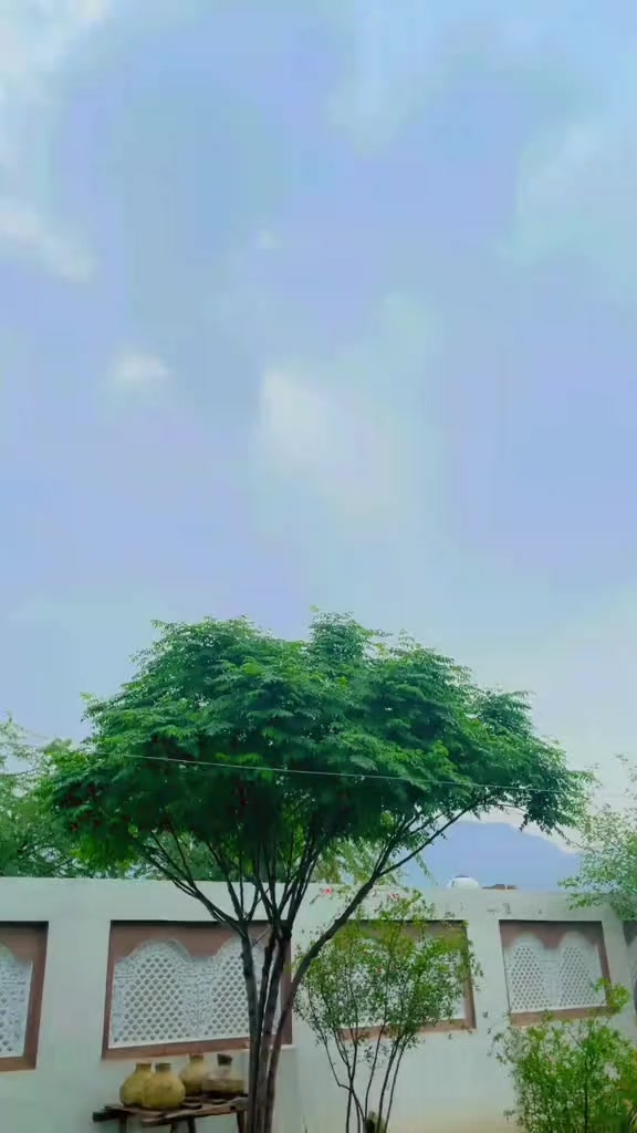 @♛𝐍___𝐊 N̸i̸a̸z̸i̸♕