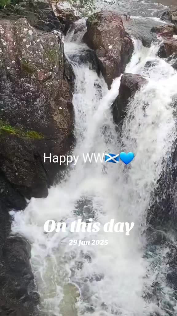 @lemons212