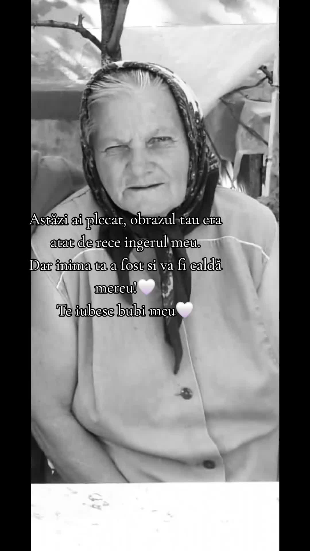 @⚜️Ąĺịɲ⚜️