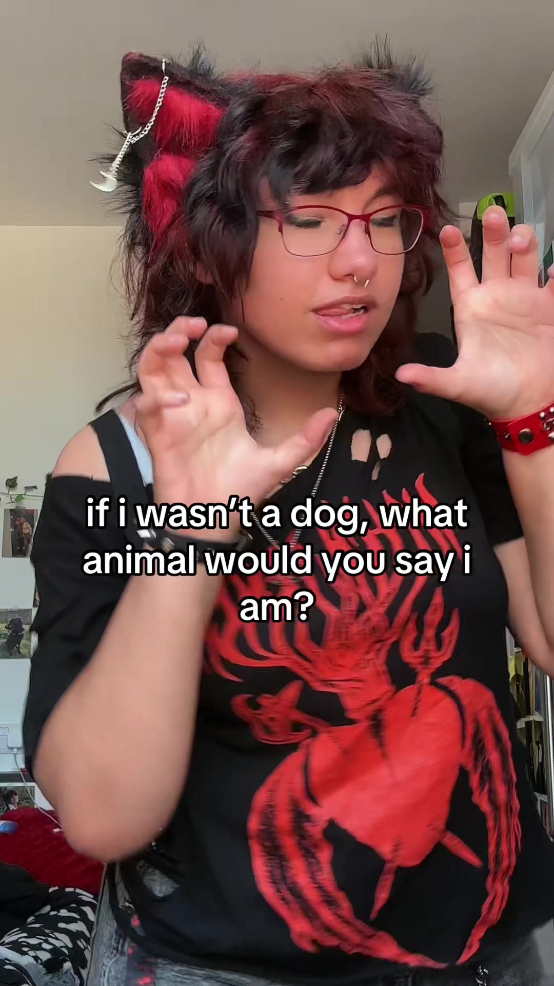 @ako/az🐾