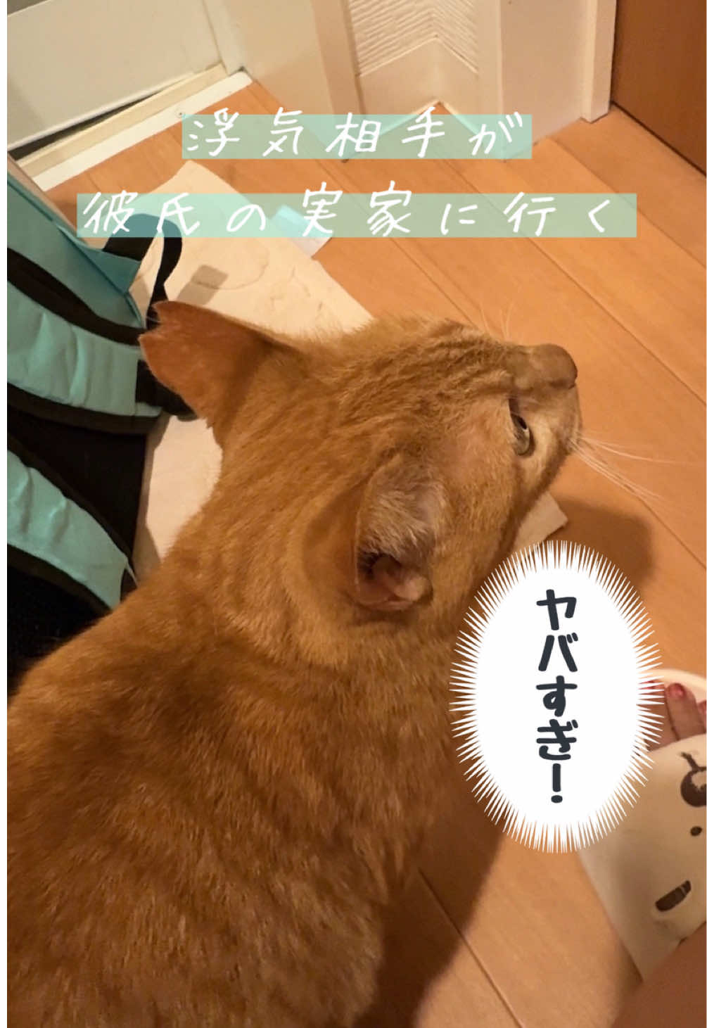 @さっことおちょ