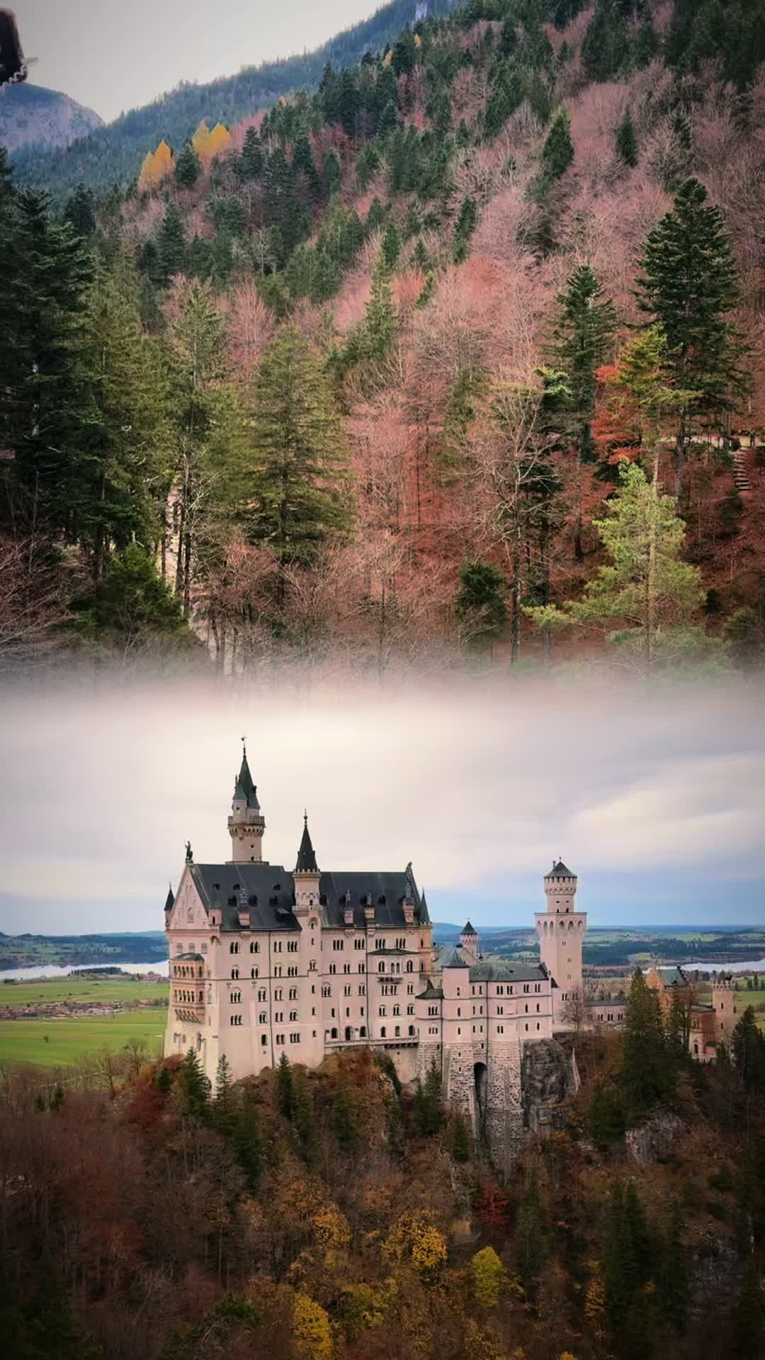 @alena.stark.atomy