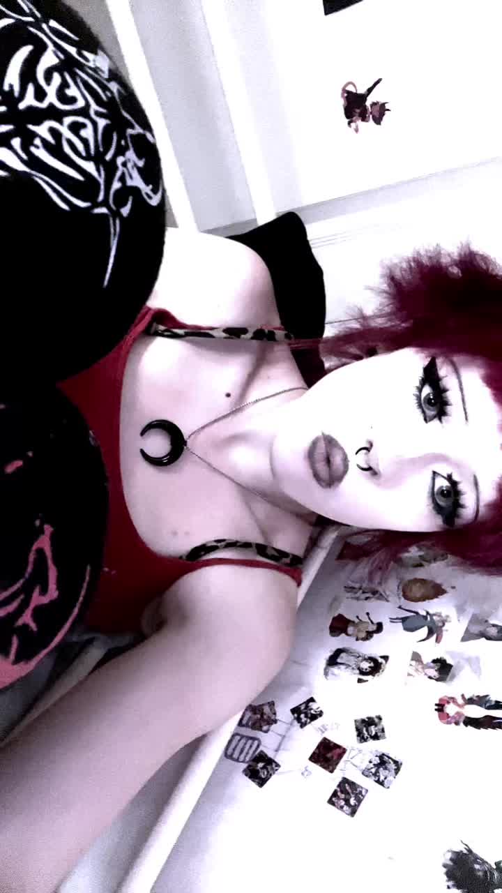 @⋆.˚✮Lou The Kitty Meow✮˚.⋆