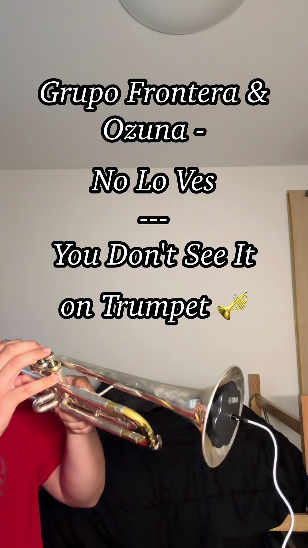 @mexicantrumpetboy