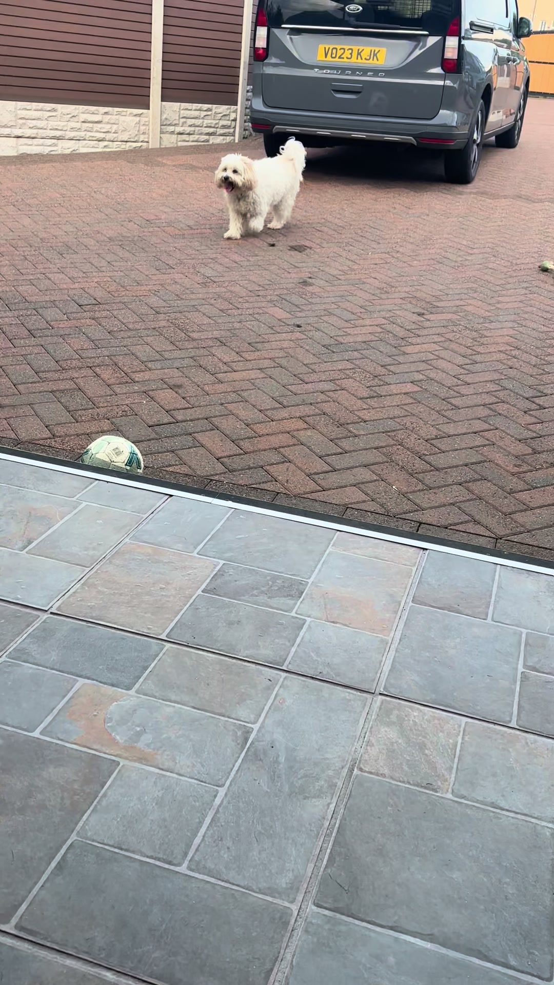 @Pablopoppypiperpoodle