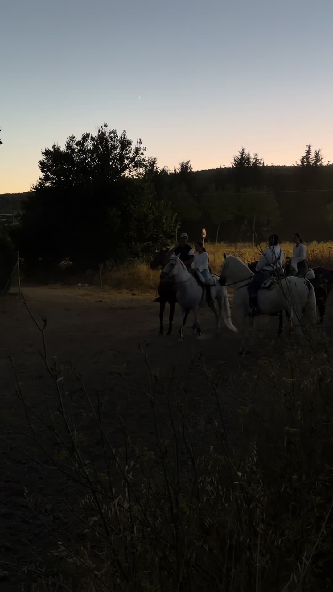 @Sandra Molina🐎🇪🇸