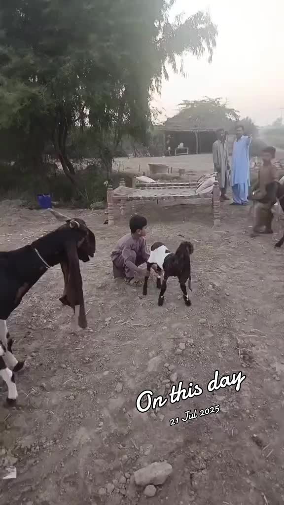 @Shahbazkhan💫🌟✨💥🔥
