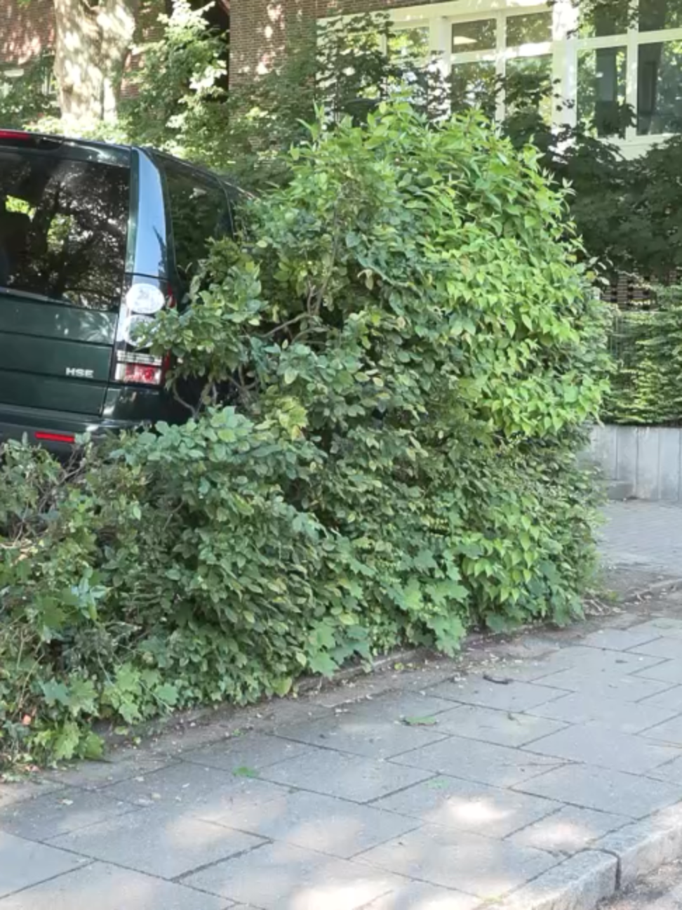 @PresseTV Hamburg