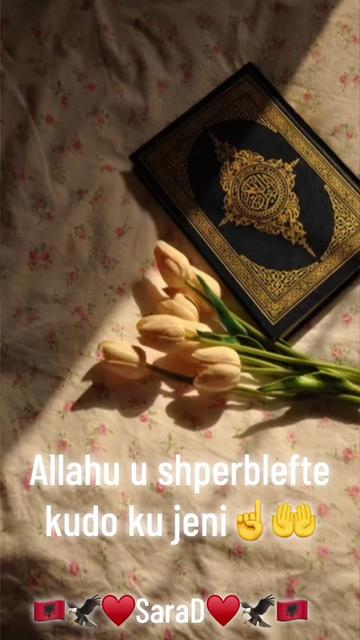 @Sara
