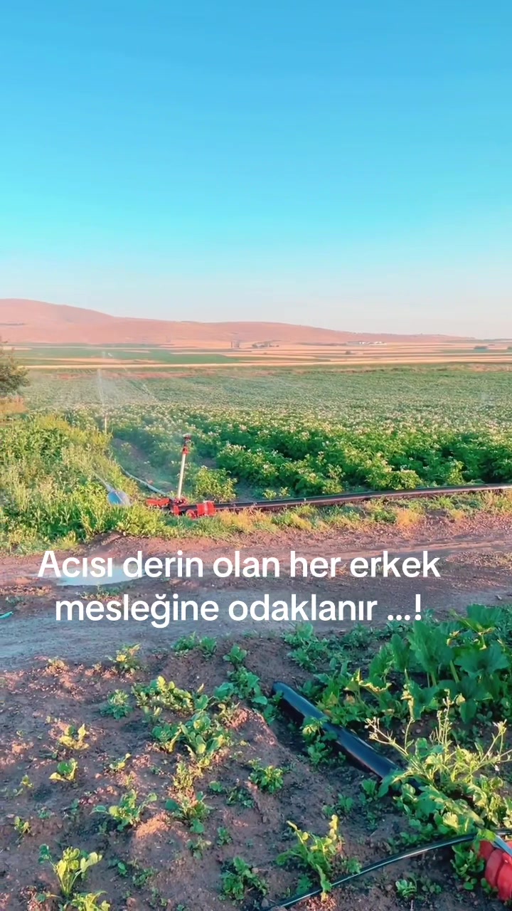 @İsmail KILI&Ccedil;
