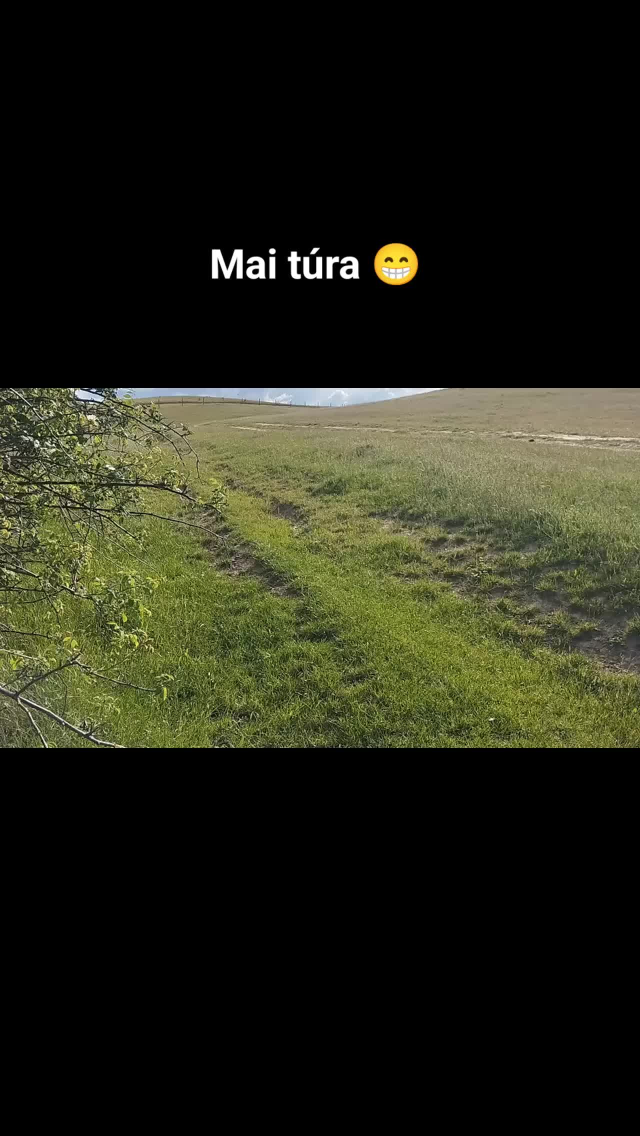 @Gábor Erős