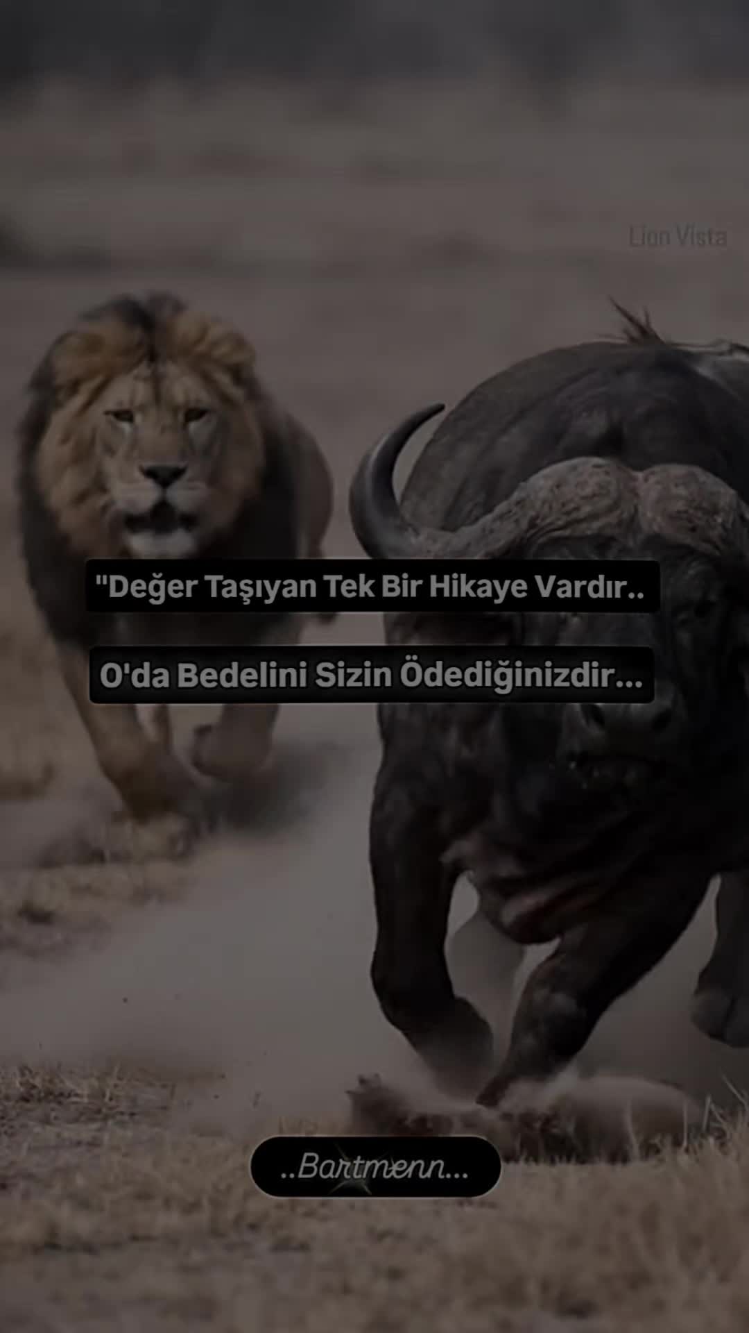 @Bartmenn